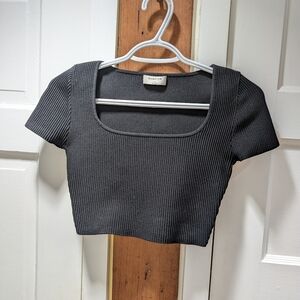 Aritzia Babaton Charcoal Ribbed Short Sleeved Crop Top